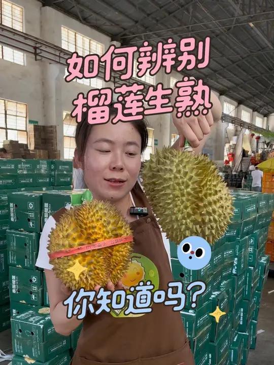 你知道怎么辨别榴莲生熟吗?教你几个小妙招开出干包大黄肉!