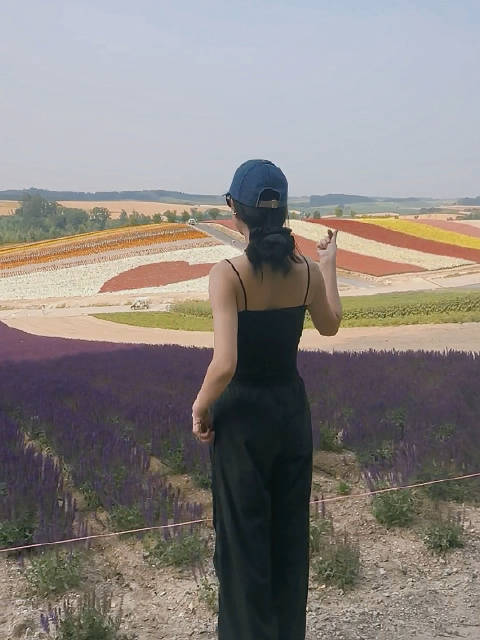 五彩斑斓的七月,我们去看薰衣草