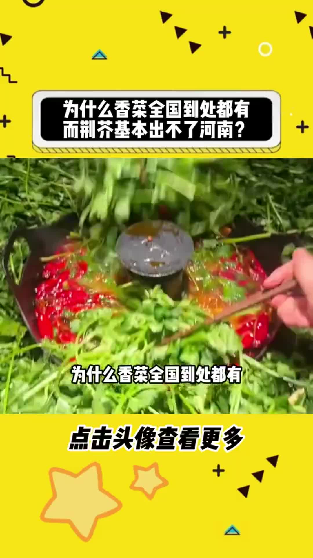 为什么香菜遍布全国,荆芥却基本出不了河南?