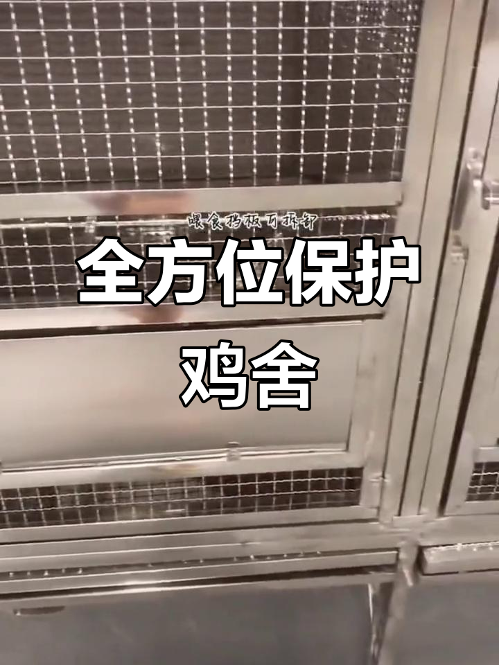 不锈钢鸡笼,防寒保暖、厕所一体,黄鼠狼无隙可入!