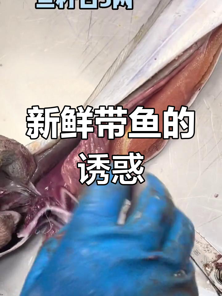 这带鱼鲜美无比,鱼籽满满三两,口感绝佳!