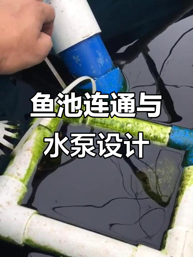 鱼菜共生系统设计与虹吸原理详解