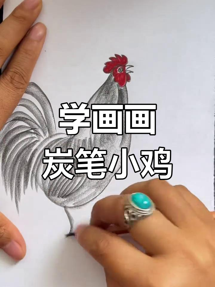 零基础学画鸡,简单几笔画出可爱小动物