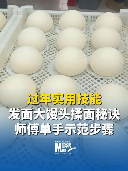 过年实用技能！发面大馒头揉面秘诀，师傅单手示范步骤，快来学蒸又圆又暄软的大馒头！