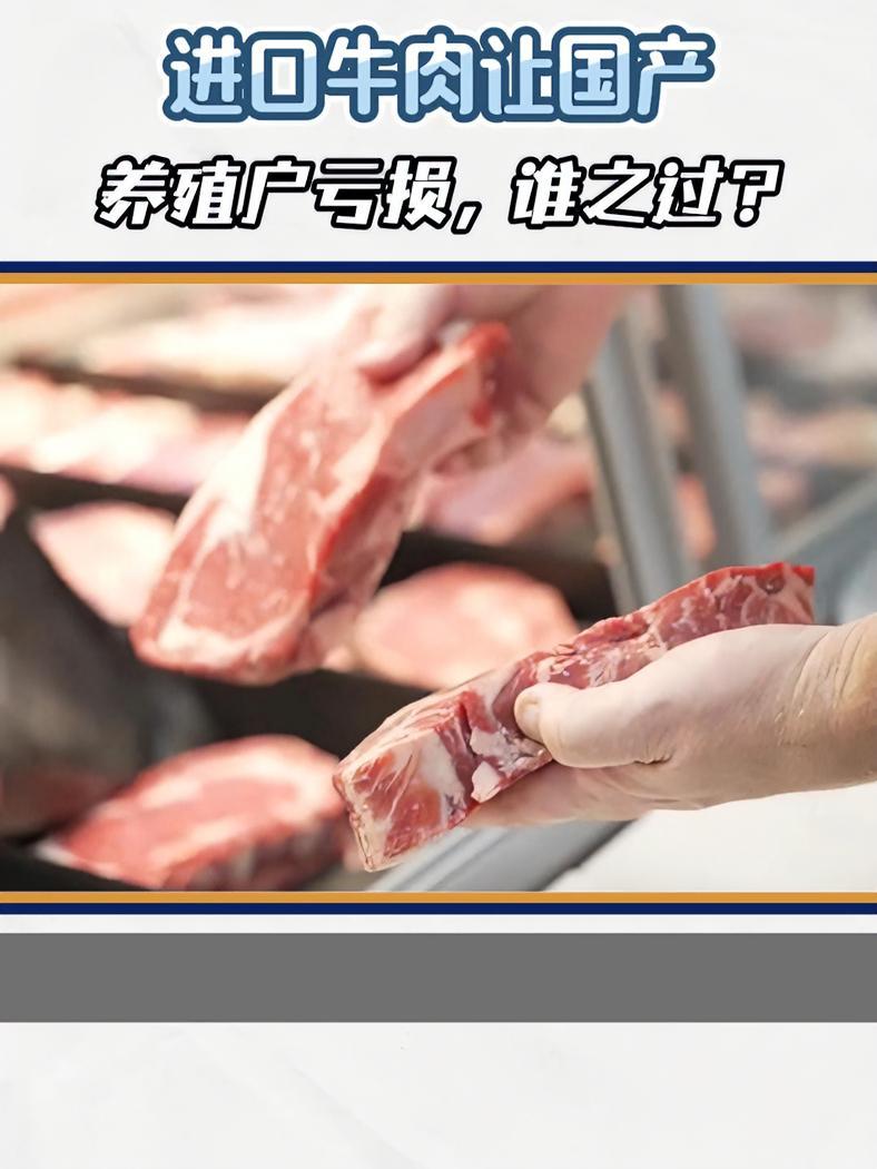 进口牛肉让国产养殖户亏损,谁之过?牛肉 巴西牛肉  由于国内外牛肉价差巨大,今年中国牛肉进