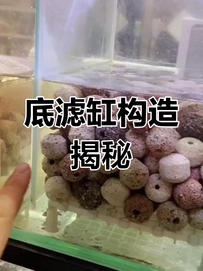 底滤缸循环原理解析