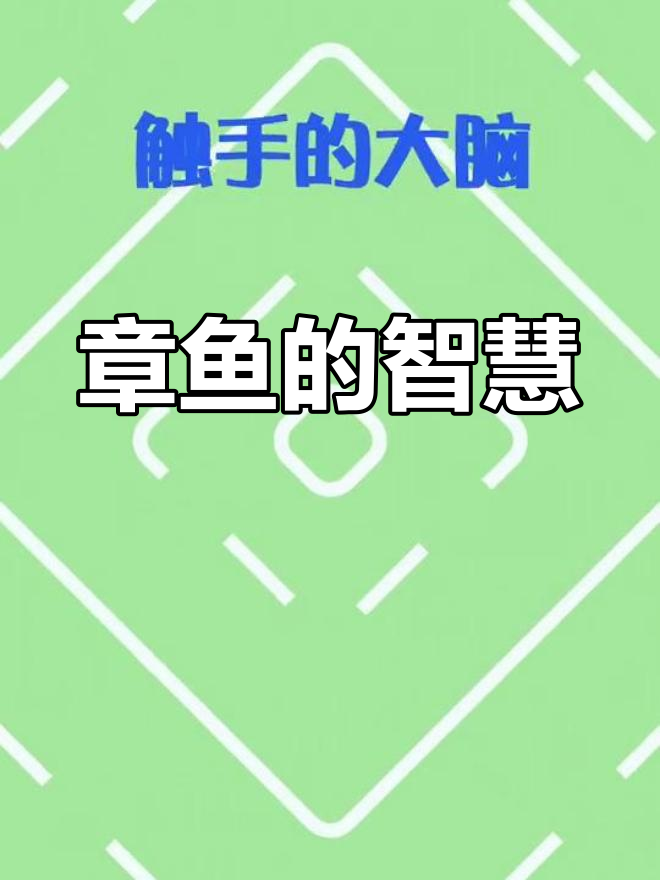 章鱼有9个大脑,触手能独立作战
