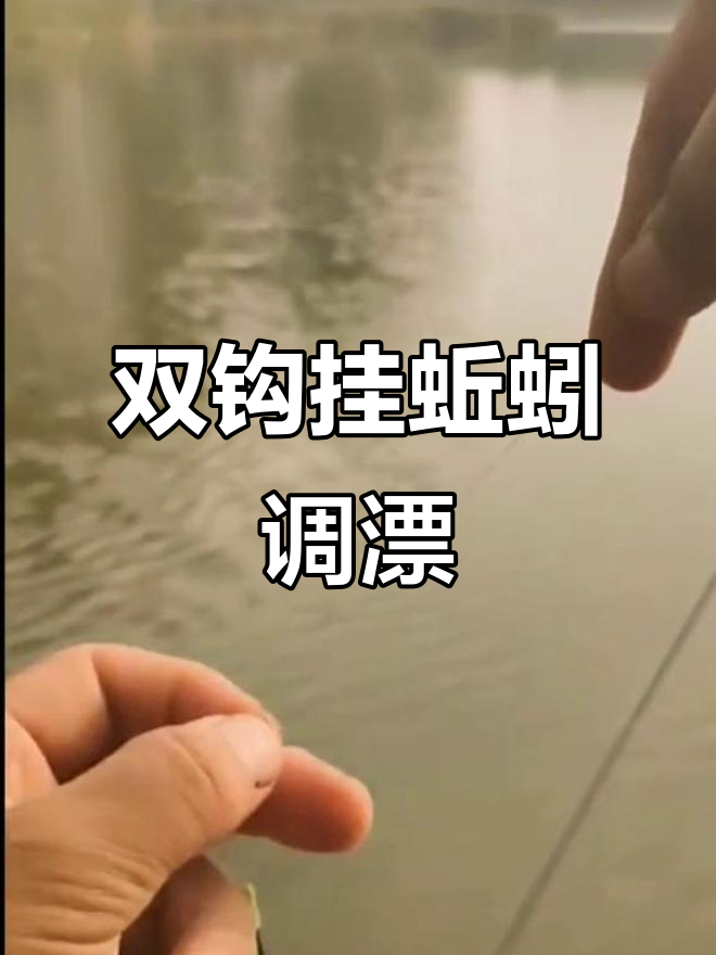 蚯蚓挂钩调漂技巧，掌握这些步骤轻松钓鱼