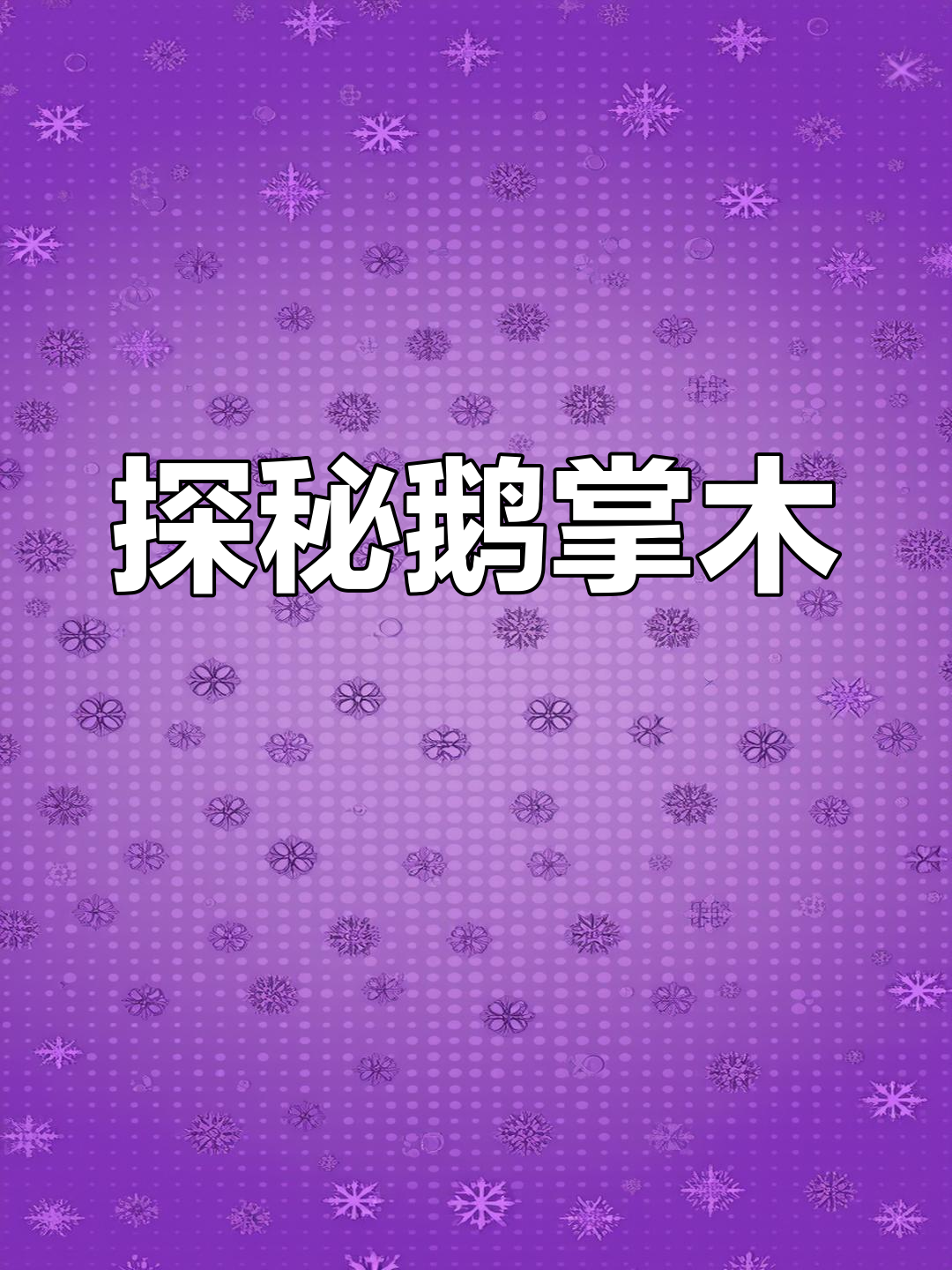 鹅掌木的秘密,揭秘大自然的神奇馈赠