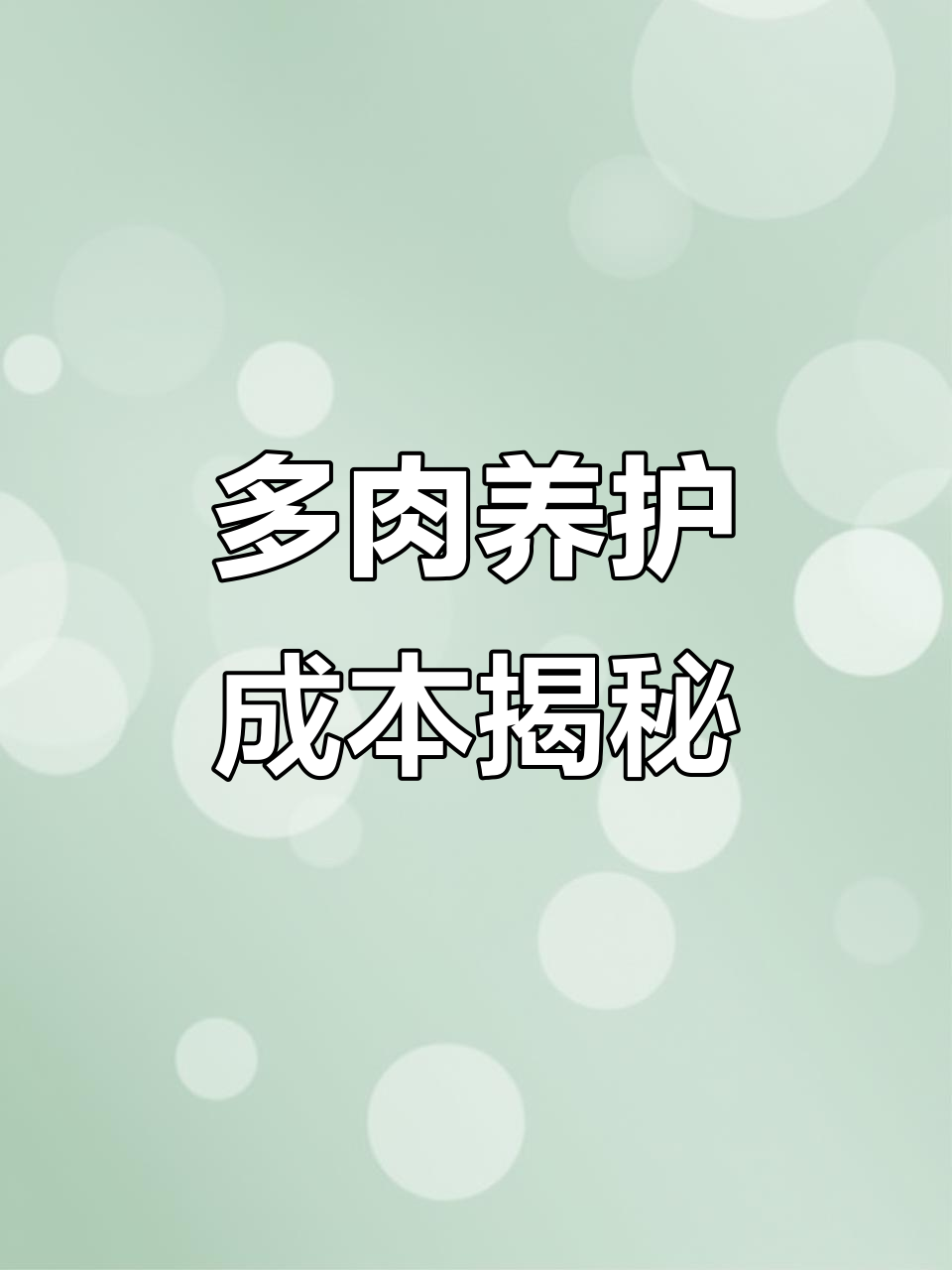 养多肉不花钱?盆土花架都得买,家里人都以为我借高利贷了