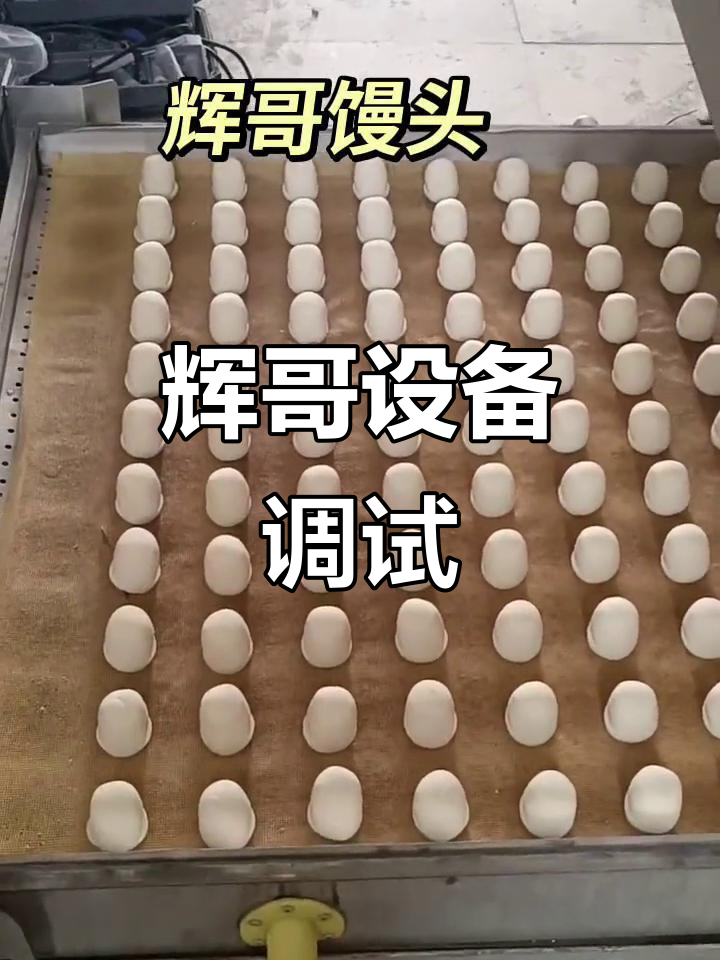 山东日照安装调试,百隆机圆馒头方馒头生产线全解析