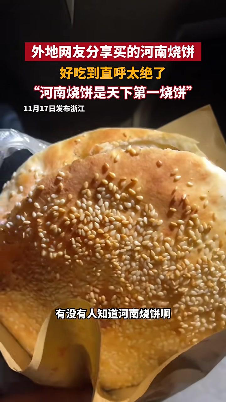 外地网友分享买的河南烧饼,好吃到直呼太绝了,“河南烧饼是天下第一烧饼” 河南 河南烧饼 美