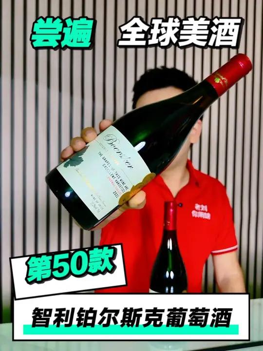 尝遍全球美酒,智利铂尔斯克干红葡萄酒「第50款」