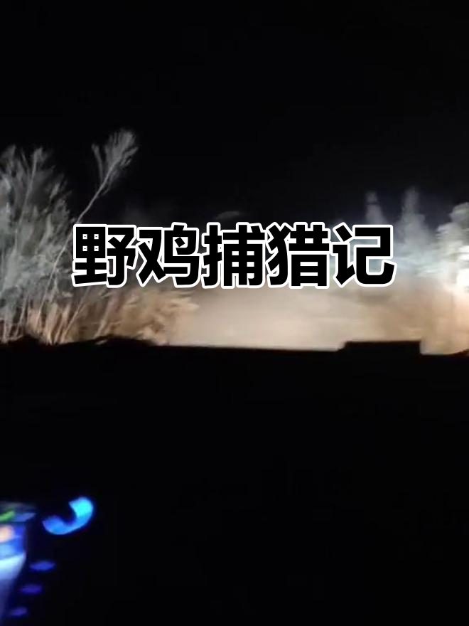 元旦后,用探照灯捕捉野鸡,星光见证我们的努力与收获
