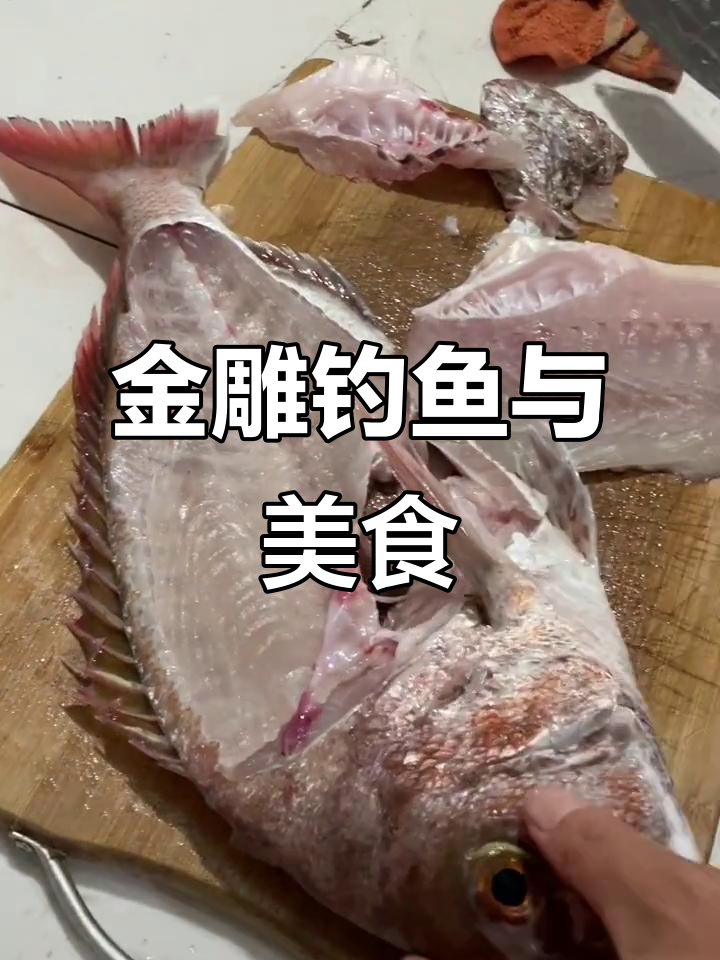 渔山岛钓获金雕,生鱼片美味无比