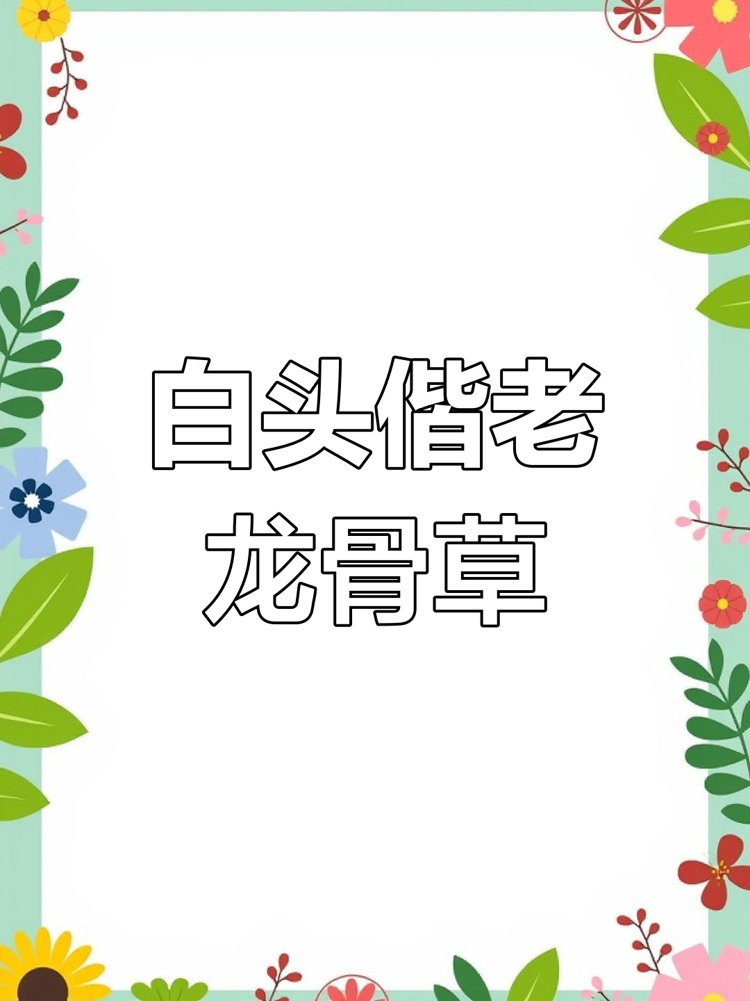 龙骨草:白头偕老的神奇植物
