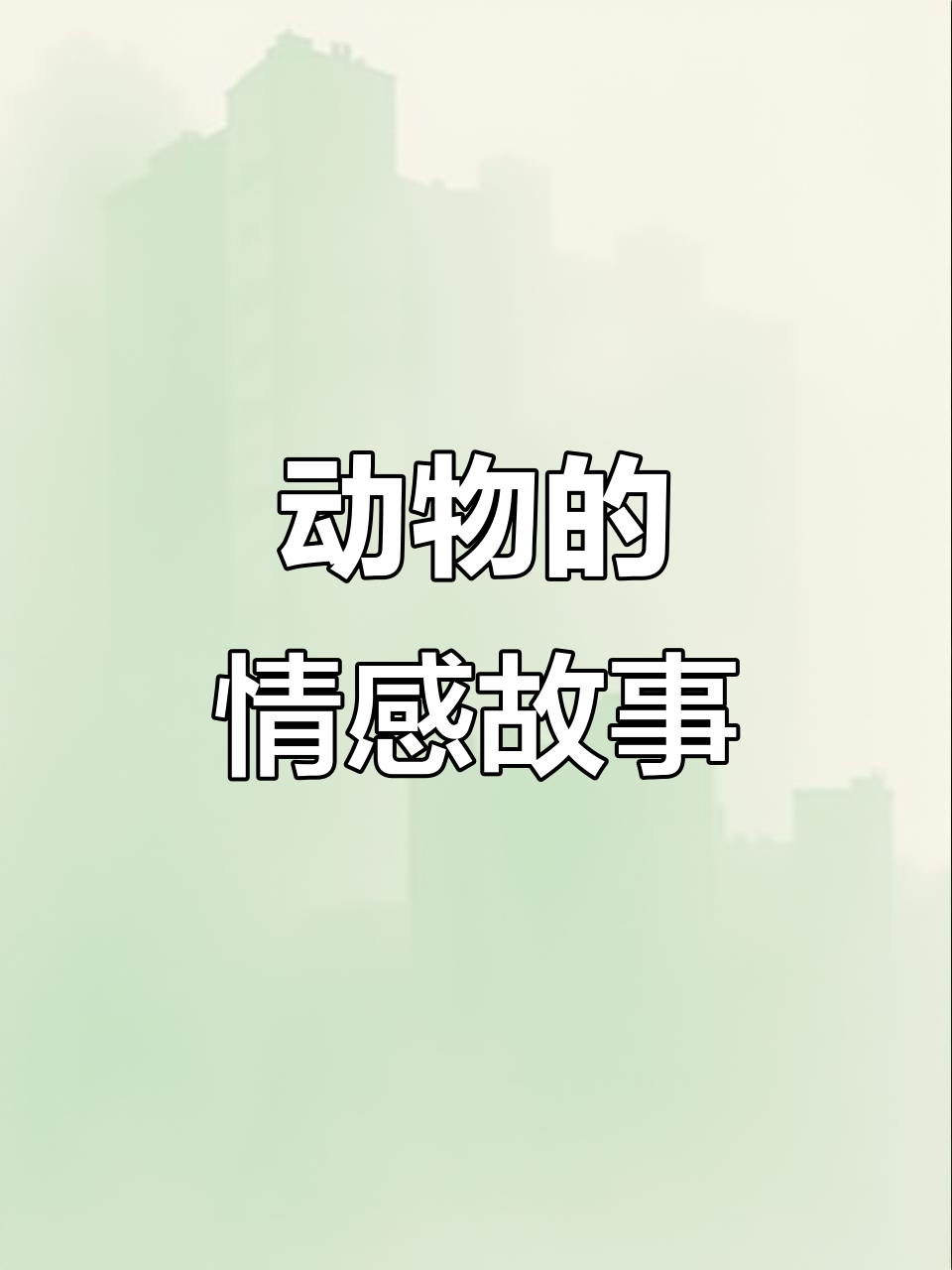 动物们的感情世界,竟然比人类还复杂!