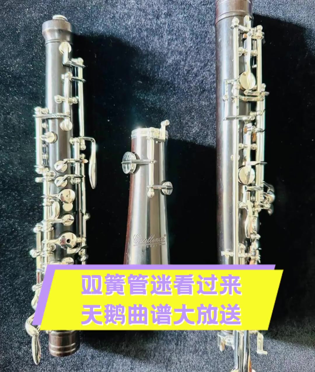 双簧管迷看过来,天鹅曲谱大放送