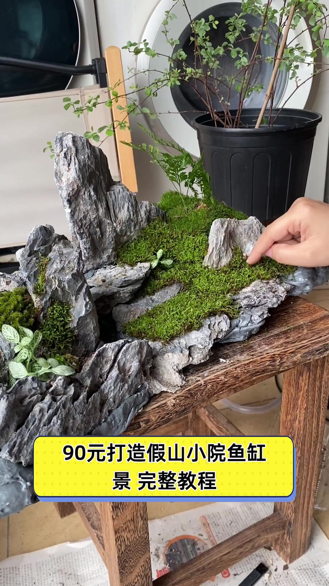 90元打造假山小院鱼缸景,完整教程