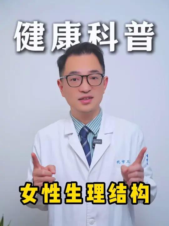 女性的生理结构