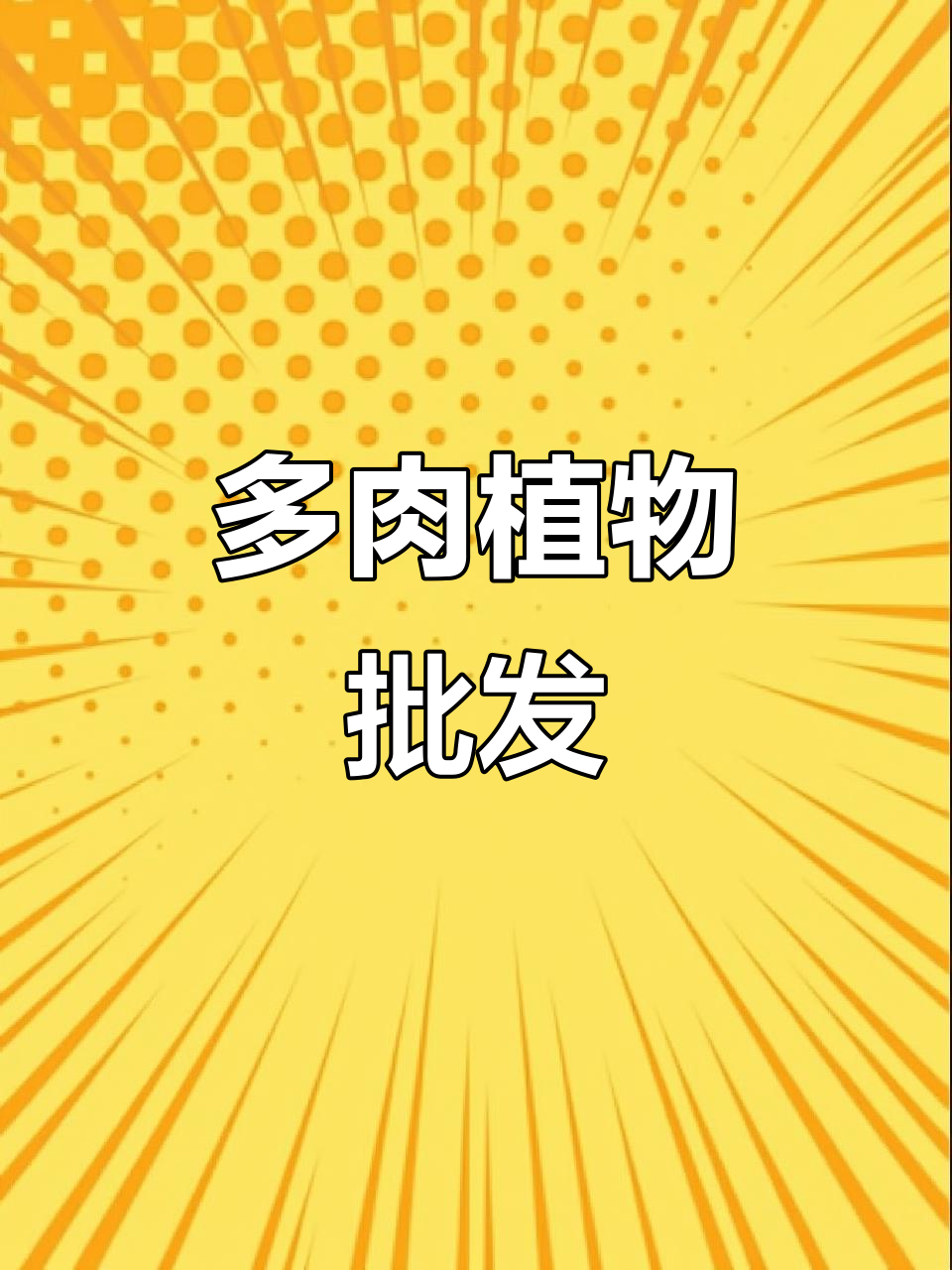 全国各地发货,多肉植物与盆栽批发