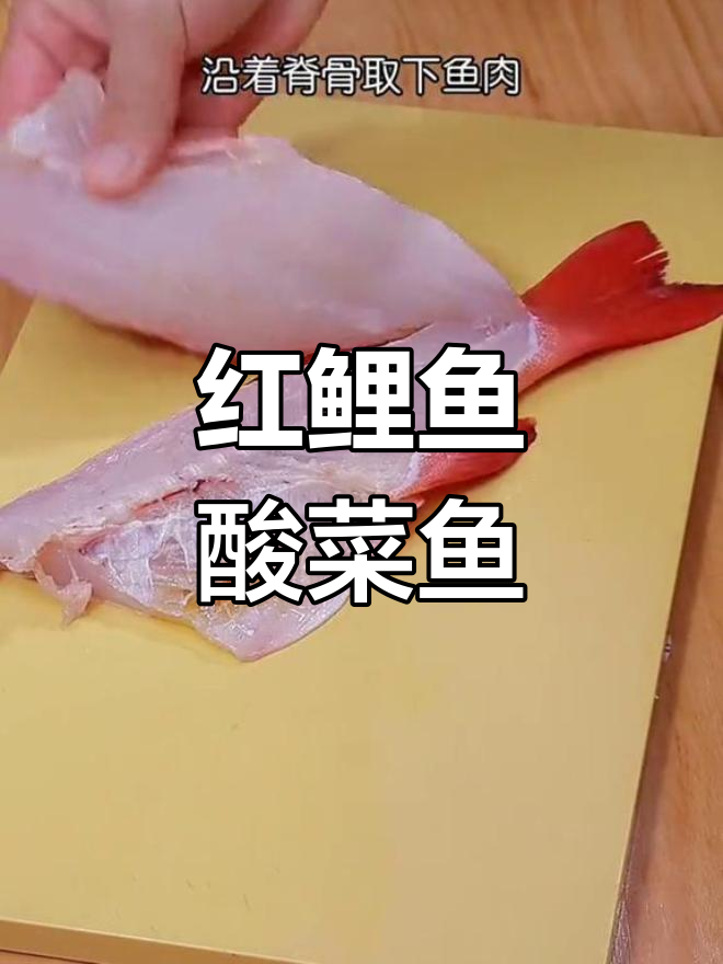 见过这种红鲤鱼吗?做酸菜鱼简直一绝,超好吃!