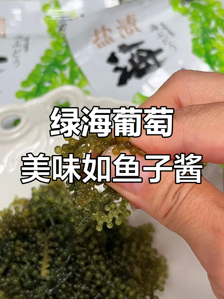 海里的“绿色鱼子酱”,口感像鲑鱼卵,停不下来!