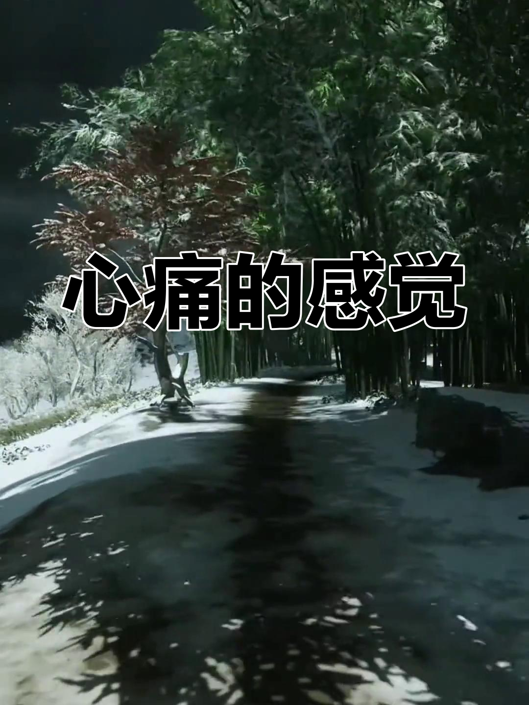 是什么能让一个人心碎?情感与治愈的动态壁纸