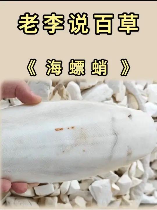 谁能想到?乌贼背上的骨头可是个宝贝!吃乌贼就知道嗦两口软肉?里头那根白玉骨头随手就扔了?我