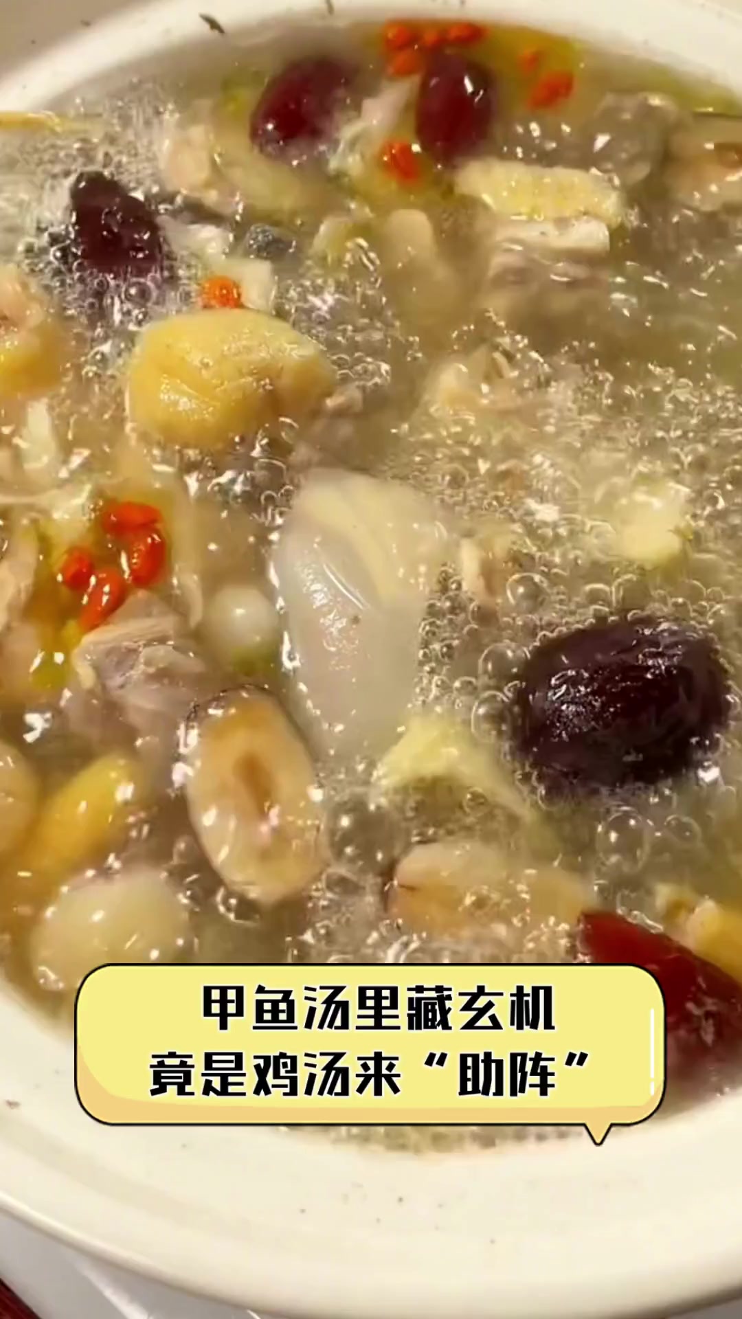 甲鱼汤里藏玄机,竟是鸡汤来“助阵”