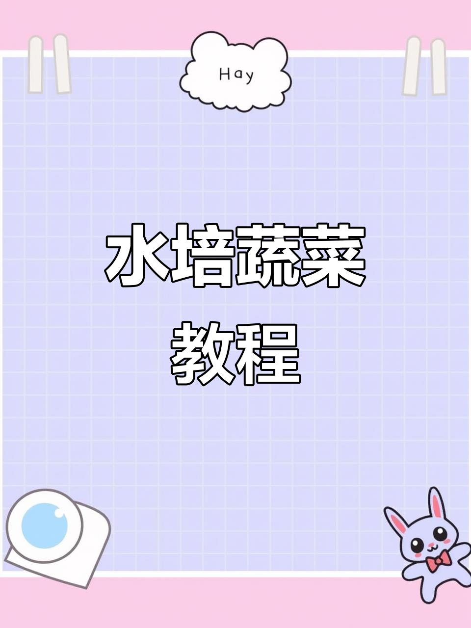 阳台水培蔬菜，轻松搞定家庭种植