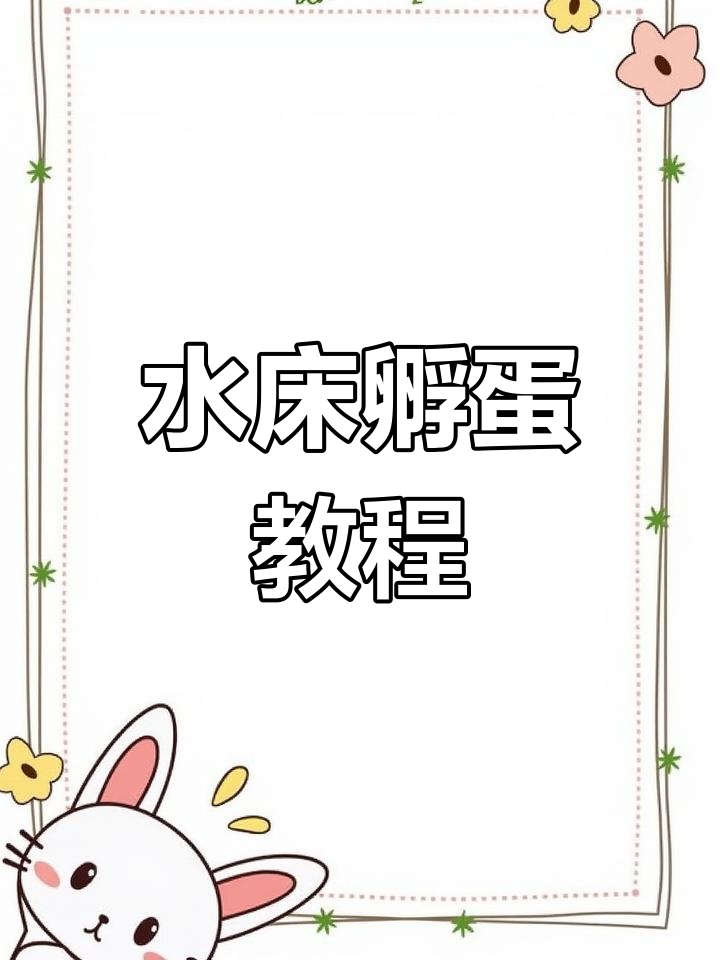 自制水床孵化鸡蛋,轻松学做