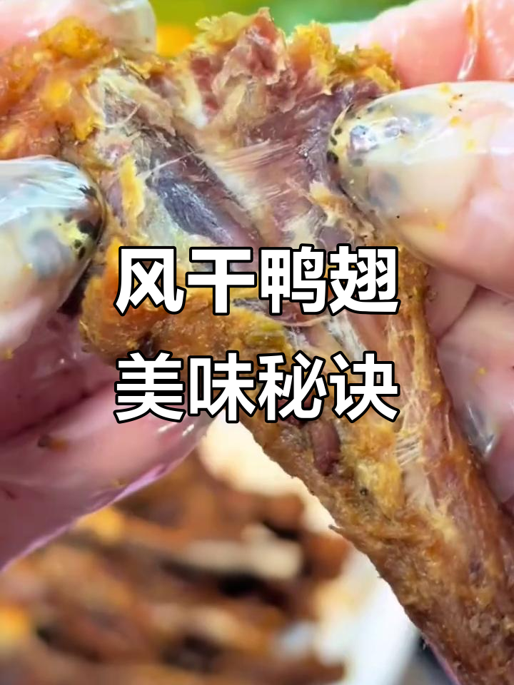 福建鸭翅根,卤味十足,肉质鲜美,咬劲十足!