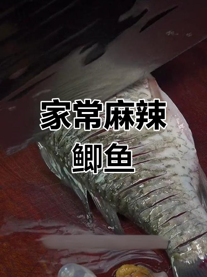 麻辣鲜香鲫鱼,家常做法让你吃不停