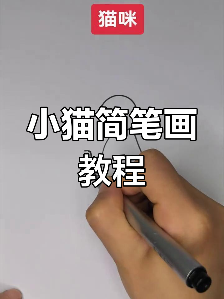 画一只简单的小猫