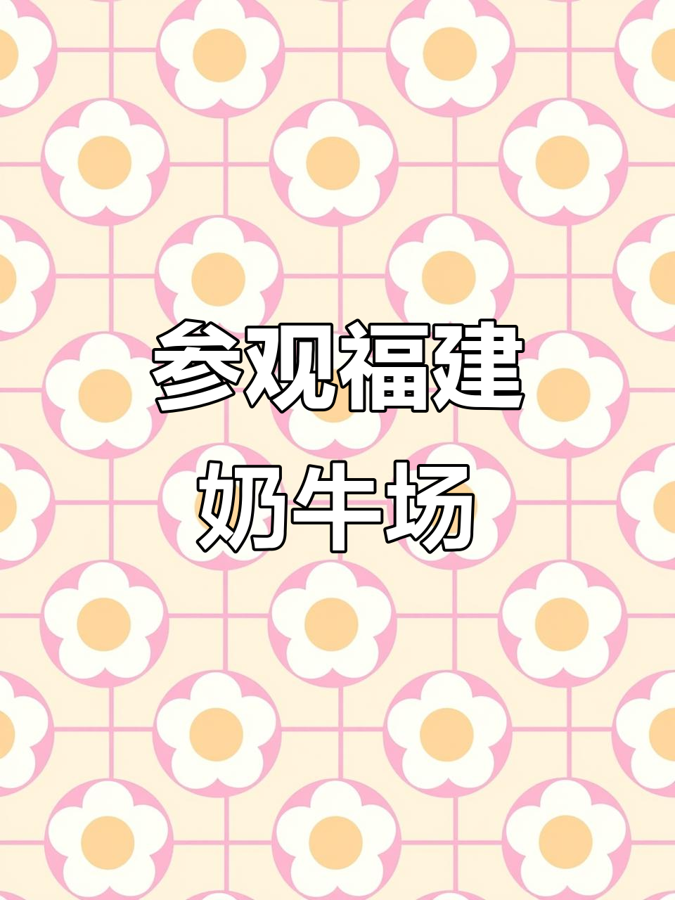 探访福建大型生态奶牛养殖基地,见证创业的艰辛与坚持