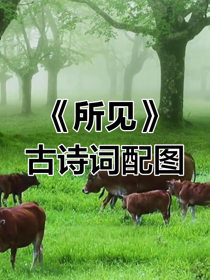 牧童骑黄牛,歌声振林樾:古诗《所见》配画展示