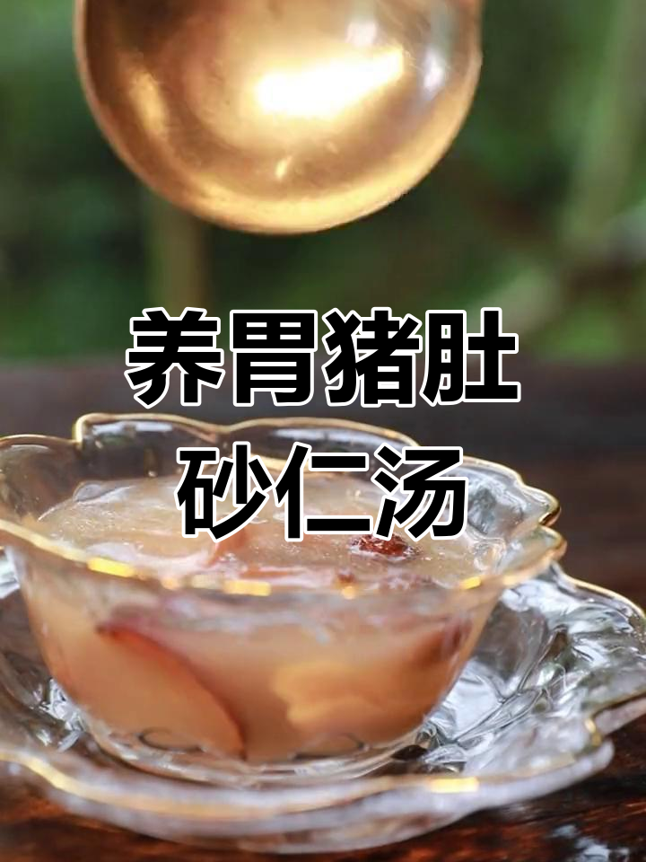 猪肚砂仁汤,养胃又滋补