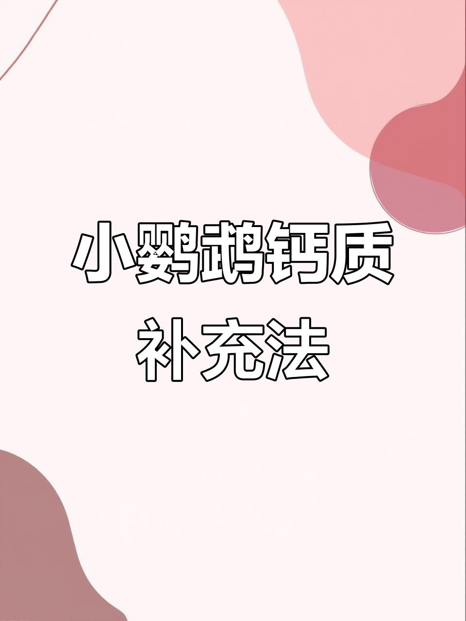 鹦鹉补钙新方法,墨鱼骨粉轻松喂