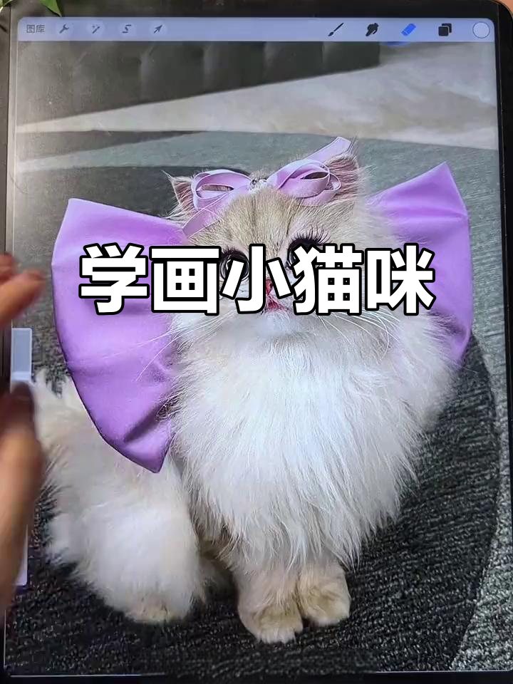 画出萌宠汤姆猫,简单步骤教你轻松上手