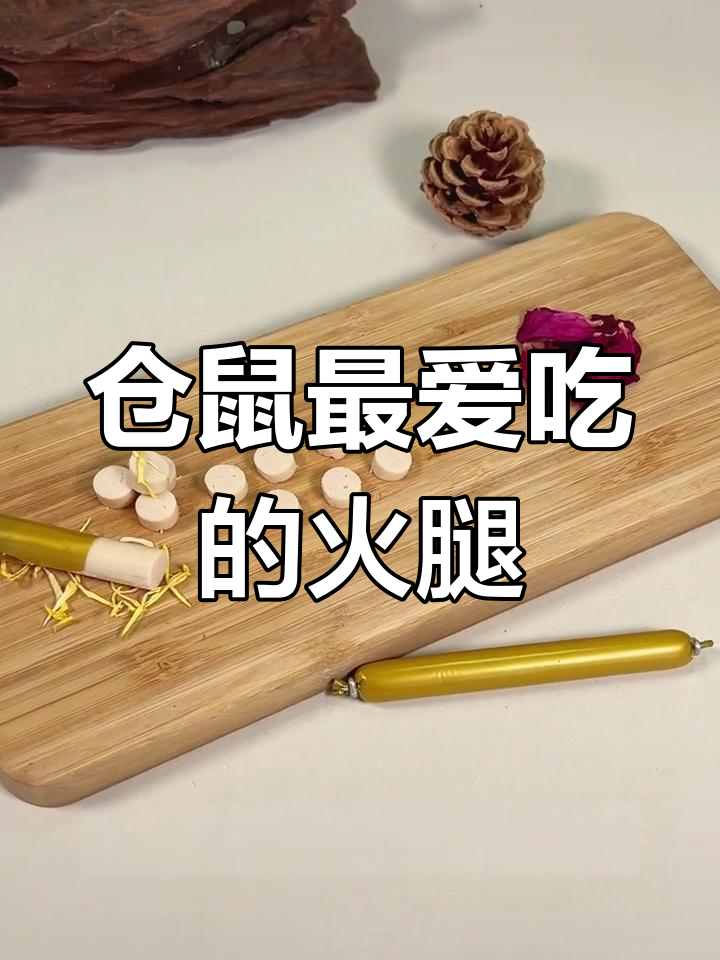 这款火腿肠让仓鼠停不下来,挑食宝宝的最爱
