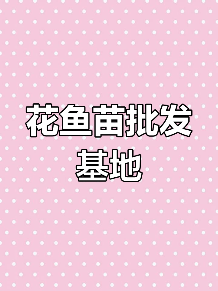 四川鱼源渔业养殖场:专业批发各类花鱼苗,助力养鱼事业成功
