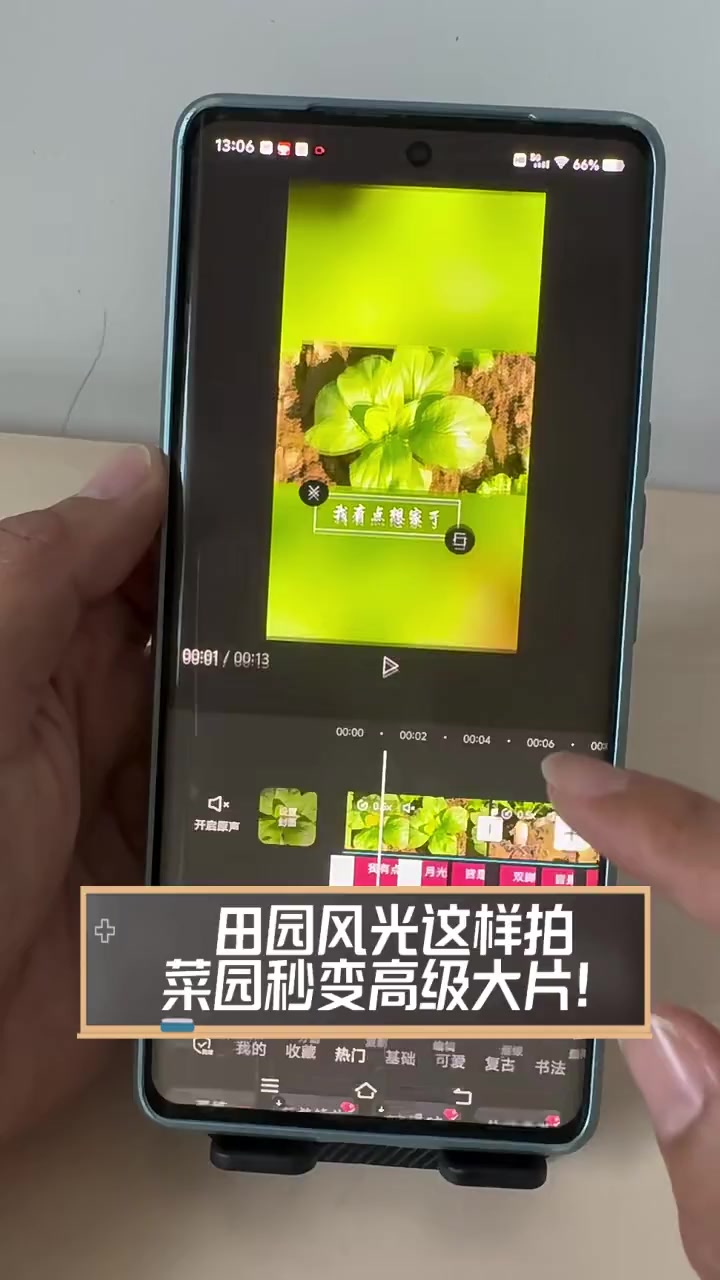 田园风光这样拍,菜园秒变高级大片!