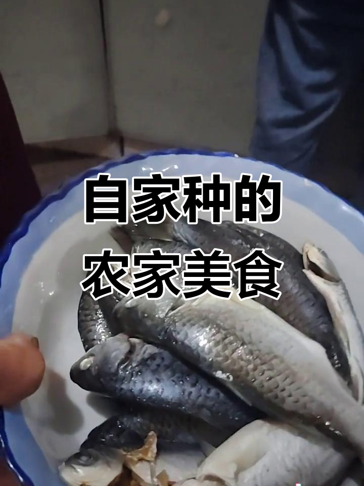 安徽农村的绿色农家菜,自给自足的健康美味