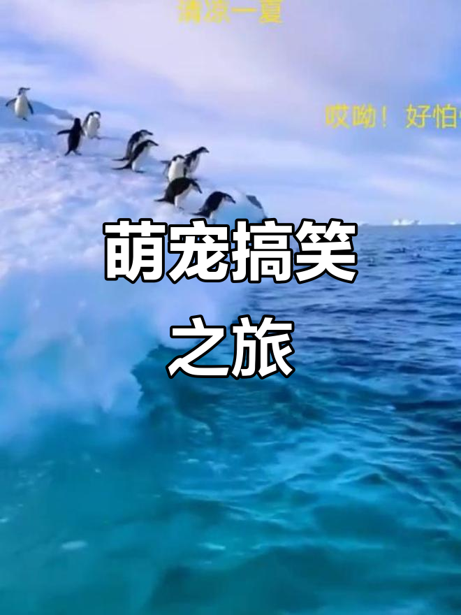 企鹅大冒险,搞笑又唯美!