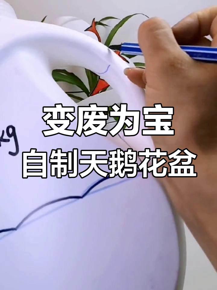 废旧洗衣液瓶变情侣天鹅花盆,简单步骤教你DIY创意设计