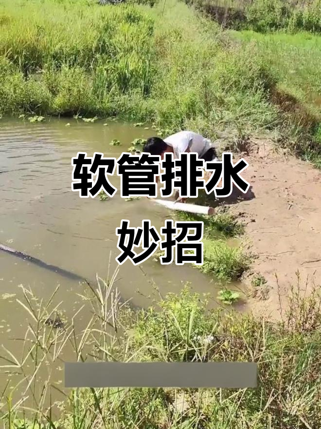 软管巧用虹吸原理,鱼塘积水轻松排干