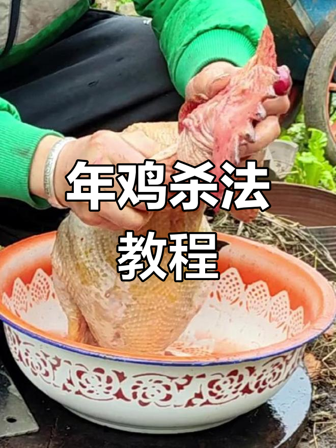 乡村春节年鸡制作技巧