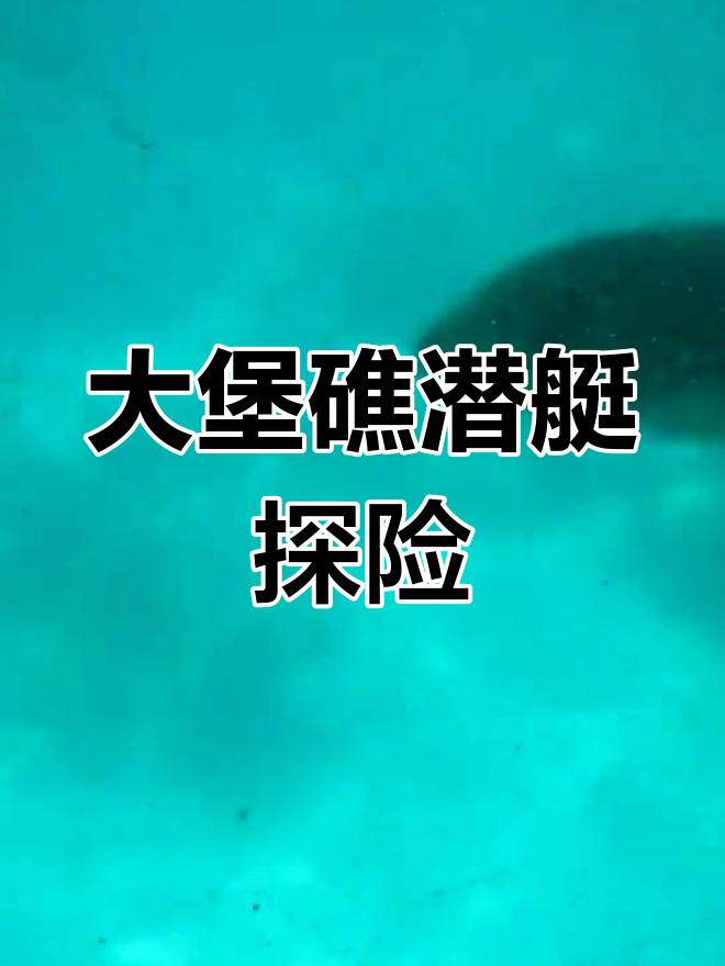 澳大利亚大堡礁潜水之旅:珊瑚、海参与五彩鱼类尽收眼底