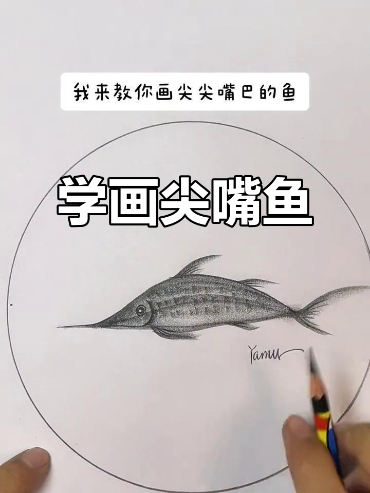 轻松学画尖嘴鱼,炭笔技巧大公开